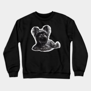 Affenpinscher Crewneck Sweatshirt